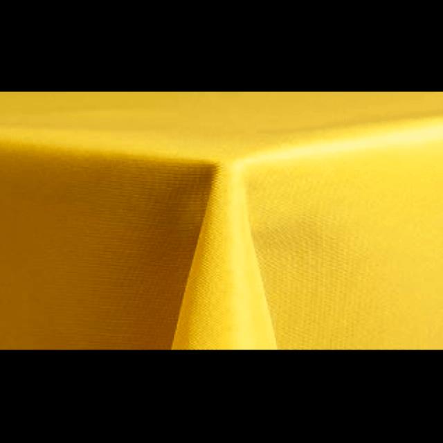 Rental store for 90 Polyester Lemon in Lexington KY