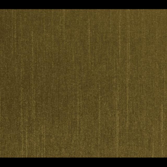 Rental store for 72 x 72 Shantung Olive in Lexington KY