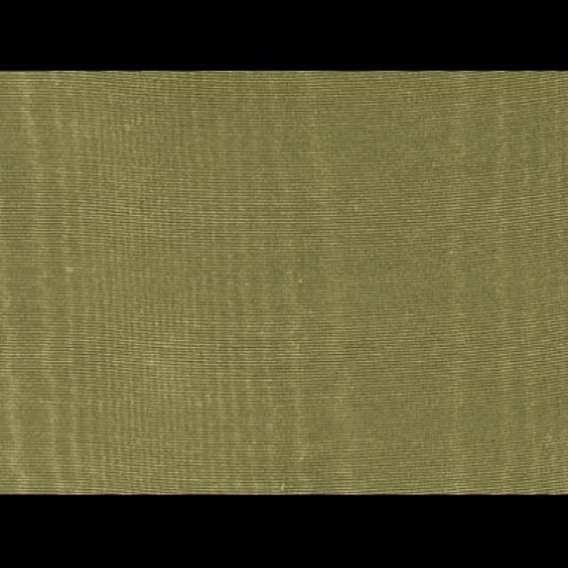 Rental store for Runner 12 x 120 Moire Fern in Lexington KY
