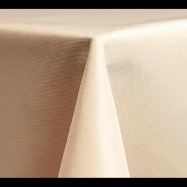 Rental store for 90 x 156 Polyester Ivory in Lexington KY