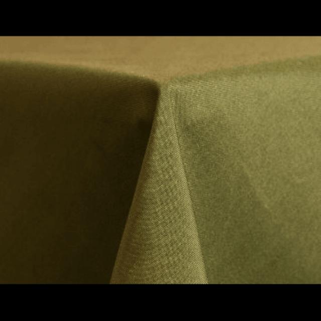 Rental store for 72 x 72 Polyester Light Olive in Lexington KY