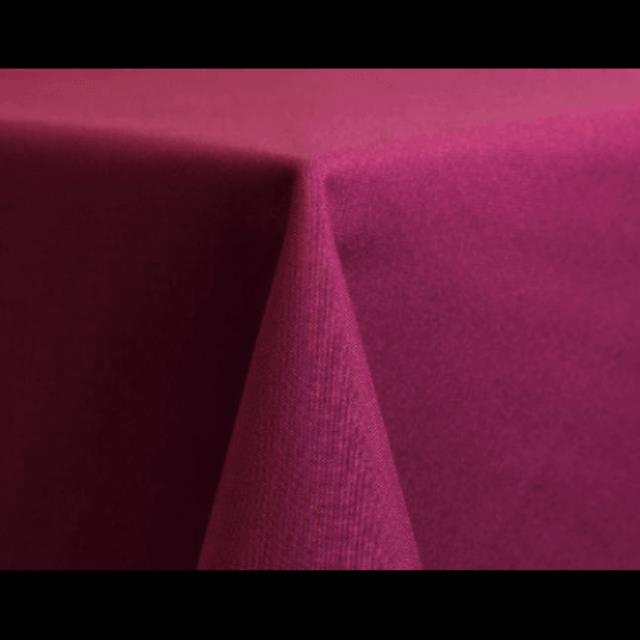 Rental store for Napkin Polyester Raspberry in Lexington KY