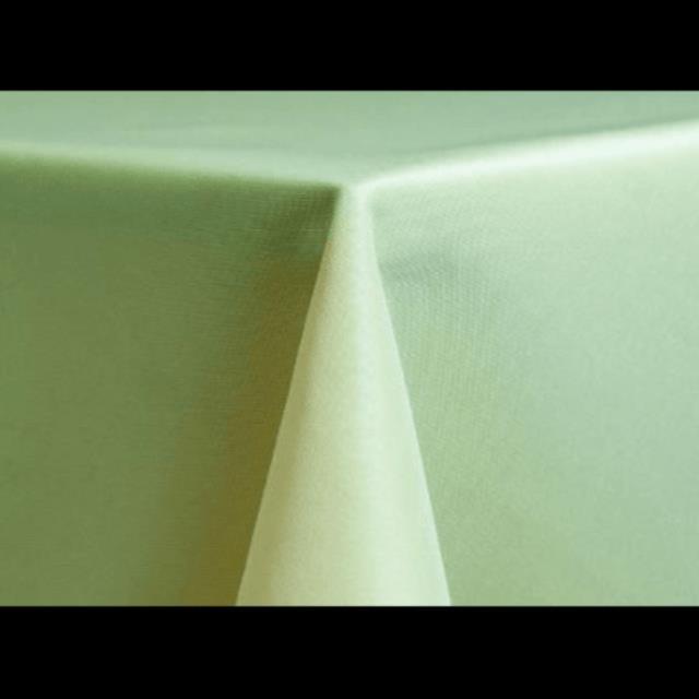Rental store for Napkin Polyester Mint in Lexington KY