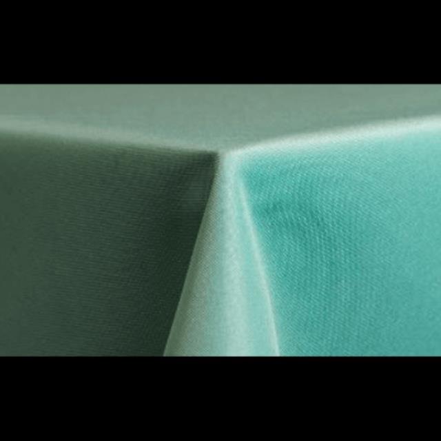 Rental store for Runner 12 x 120 Matte Satin Aqua in Lexington KY