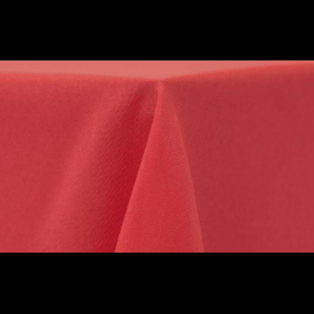 Rental store for Napkin Polyester Flamingo in Lexington KY