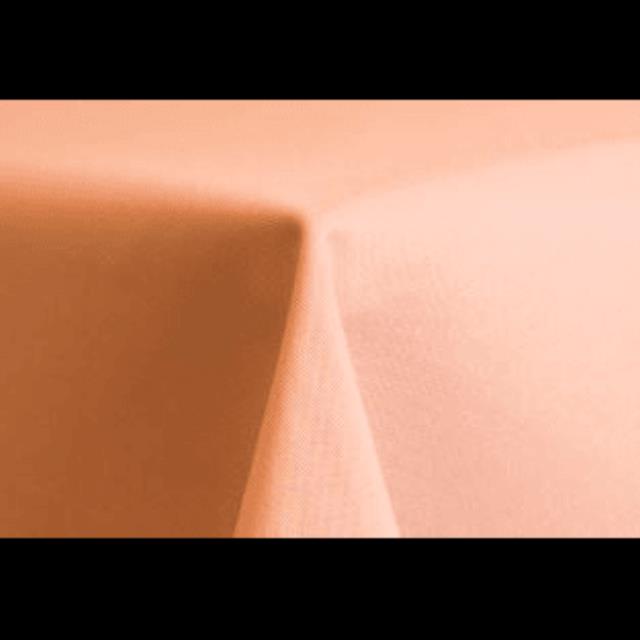 Rental store for Runner 12 x 120 Polyester Peach in Lexington KY