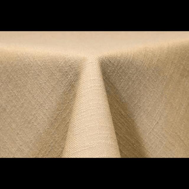 Rental store for 90 Panama Beige in Lexington KY