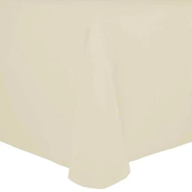 Rental store for 62 X 62 Cotton Ivory in Lexington KY